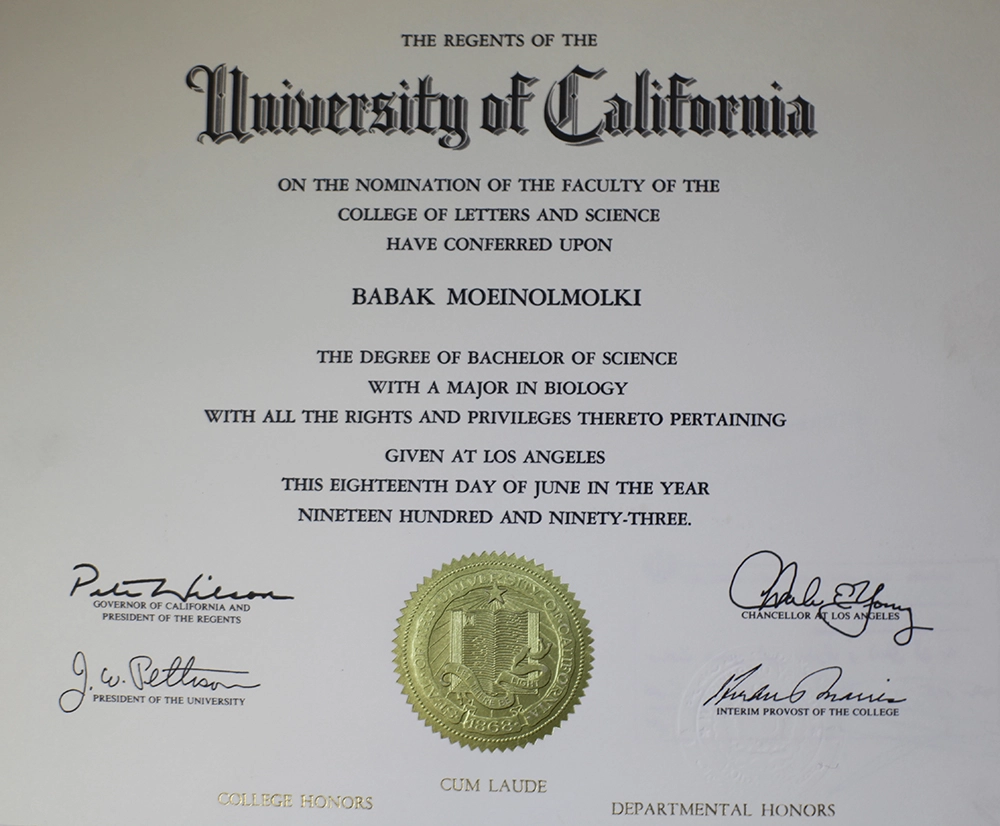 University of California, Berkeley diploma with a focus on cosmetic surgery.